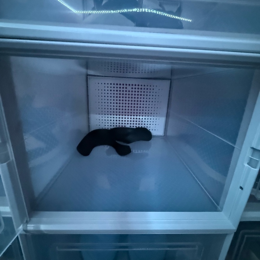 Transparent Shoe Storage Box Set - Picture 2 of 2